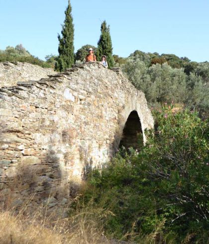 Oleanders-Andros-Route-no7-Cyclades