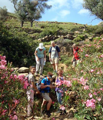 Remata-Andros-Cyclades