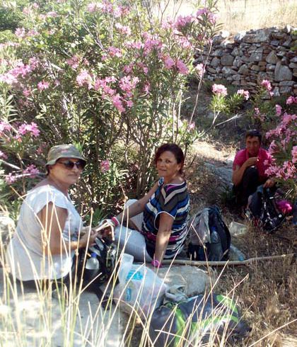 Oleanders-Andros-Route-no7-Cyclades