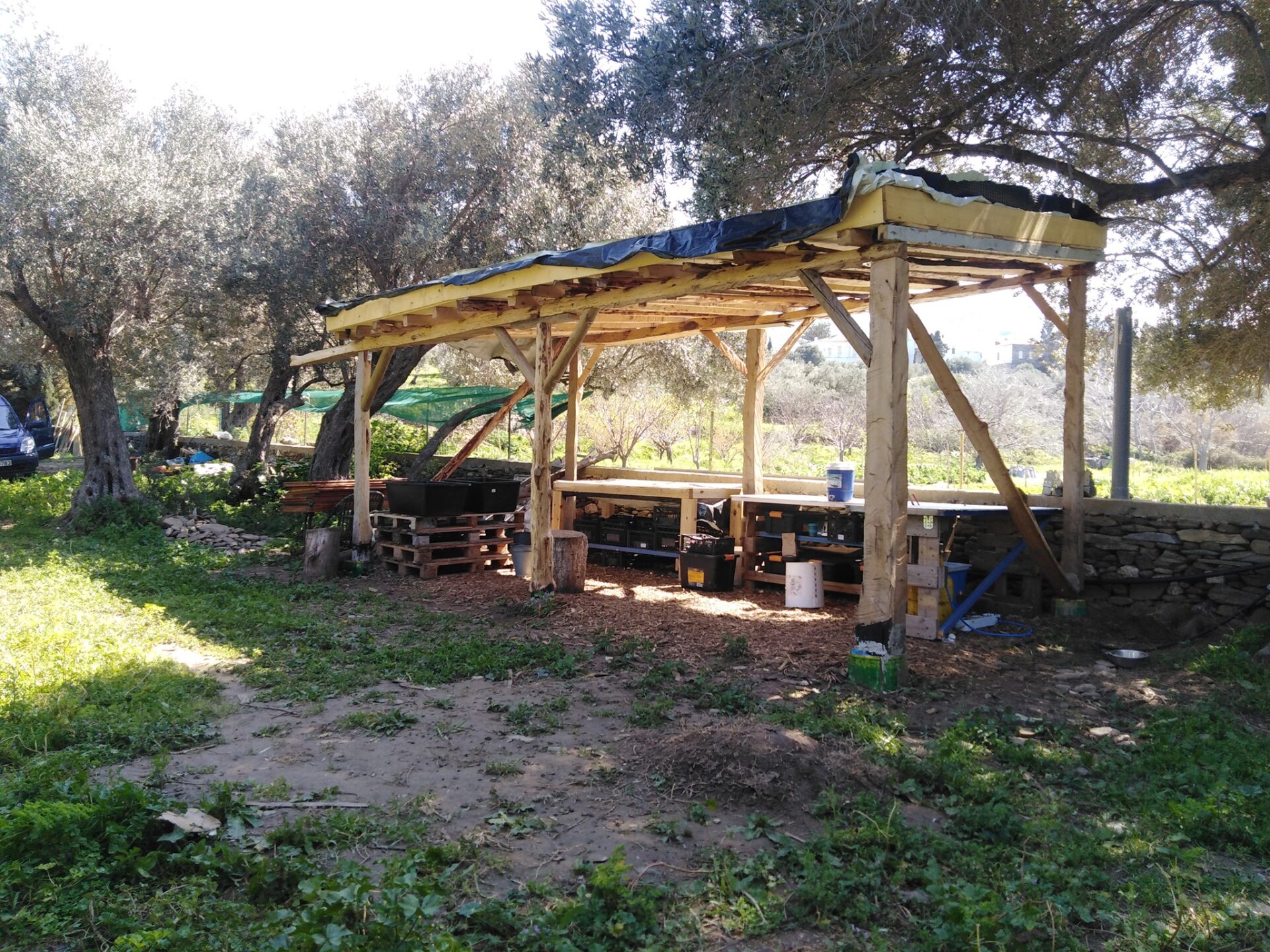 Farm Tour Andros Cyclades