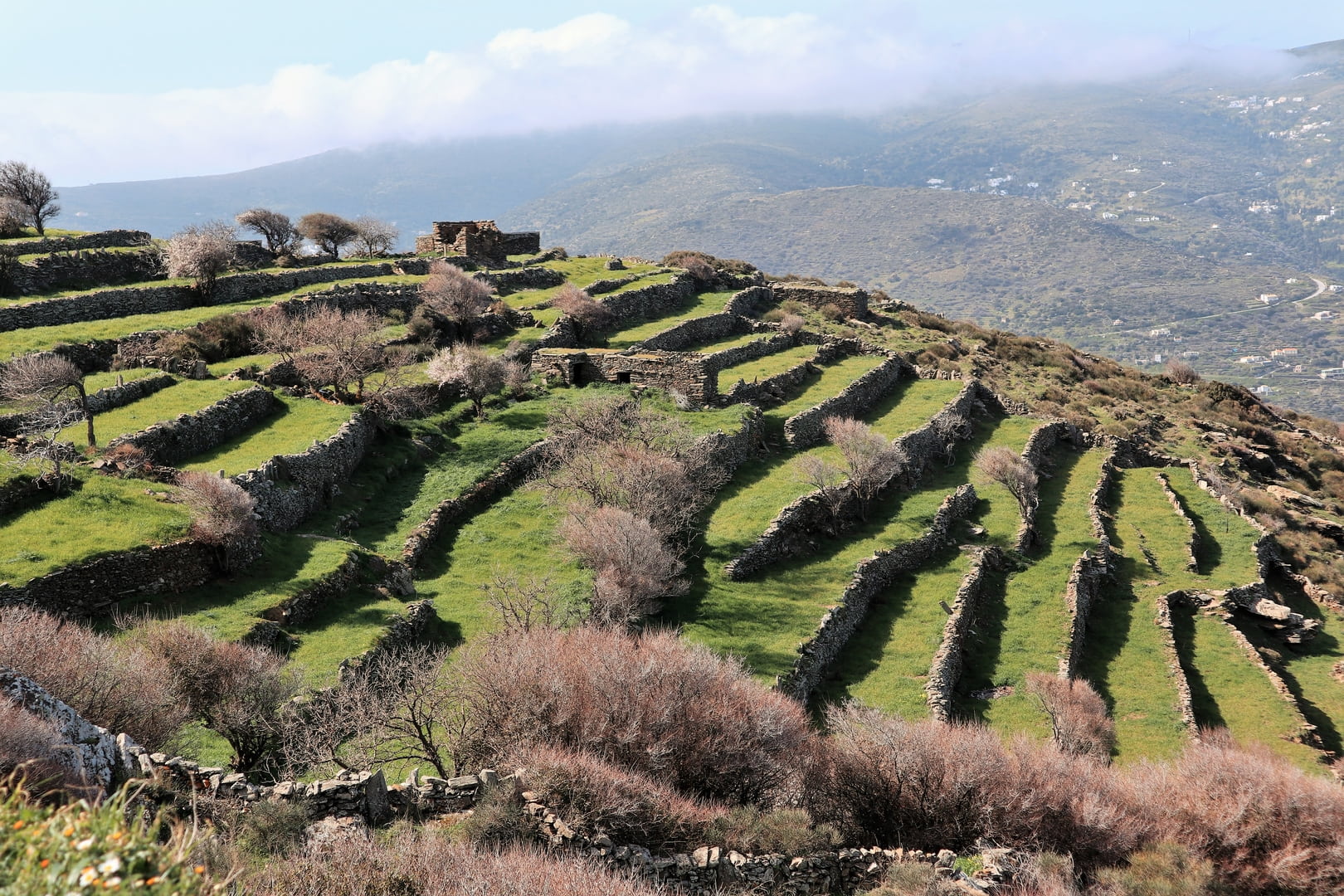 Dry Stone Terraces Andros Korthi 
