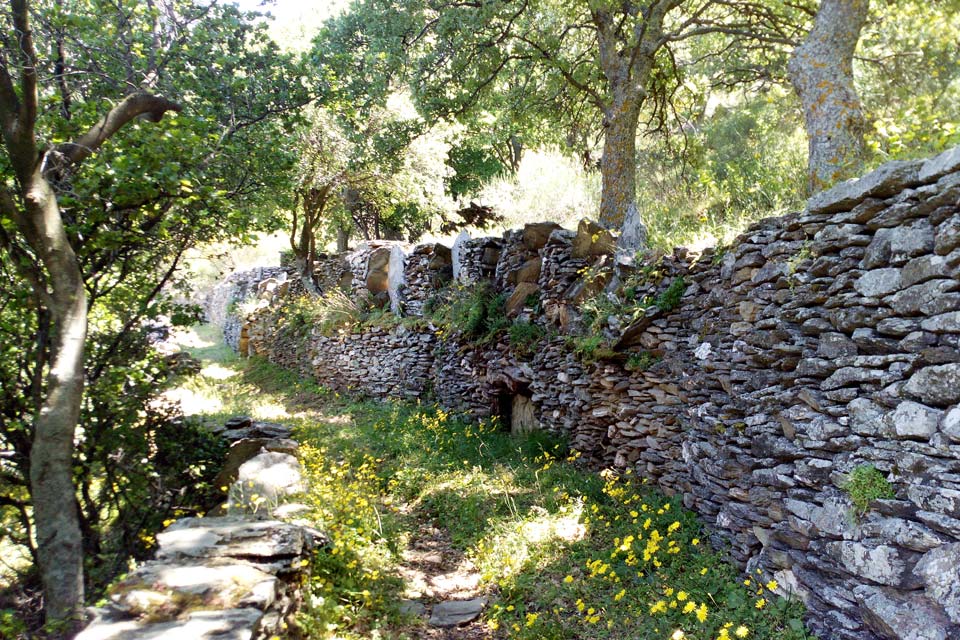 Andros-Route-no-7-Cyclades