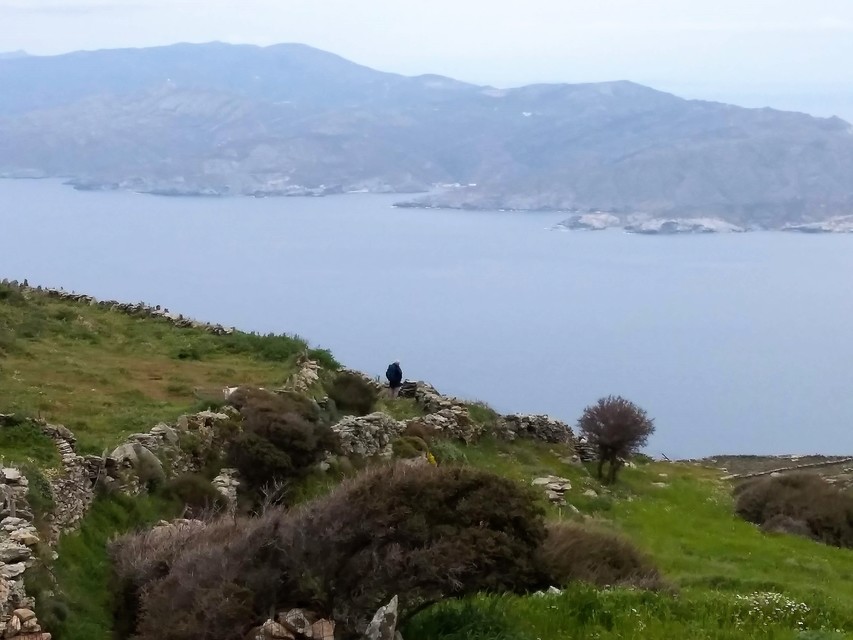 Dry Stone Walls Andros Cyclades Greece