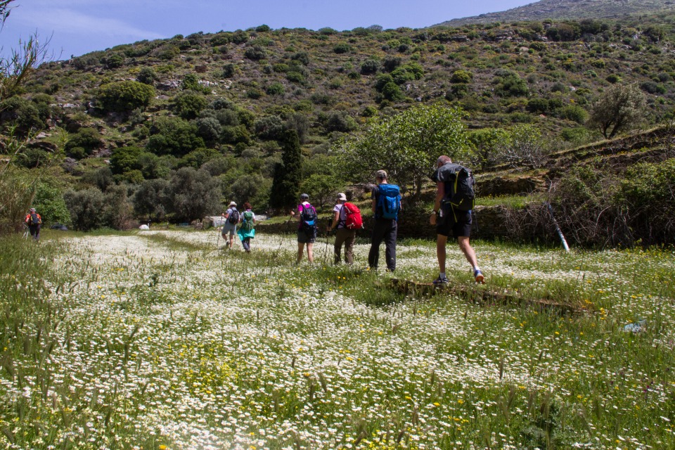 Hiking Andros Cyclades