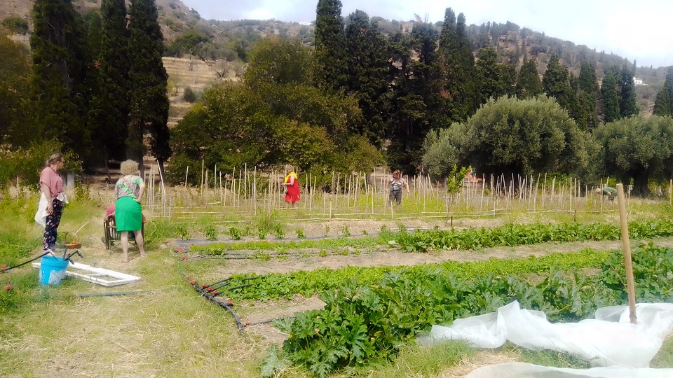 Farm Tour Andros Cyclades