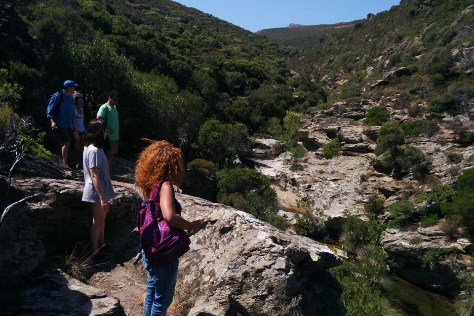 Frousseoi-Stream-Andros