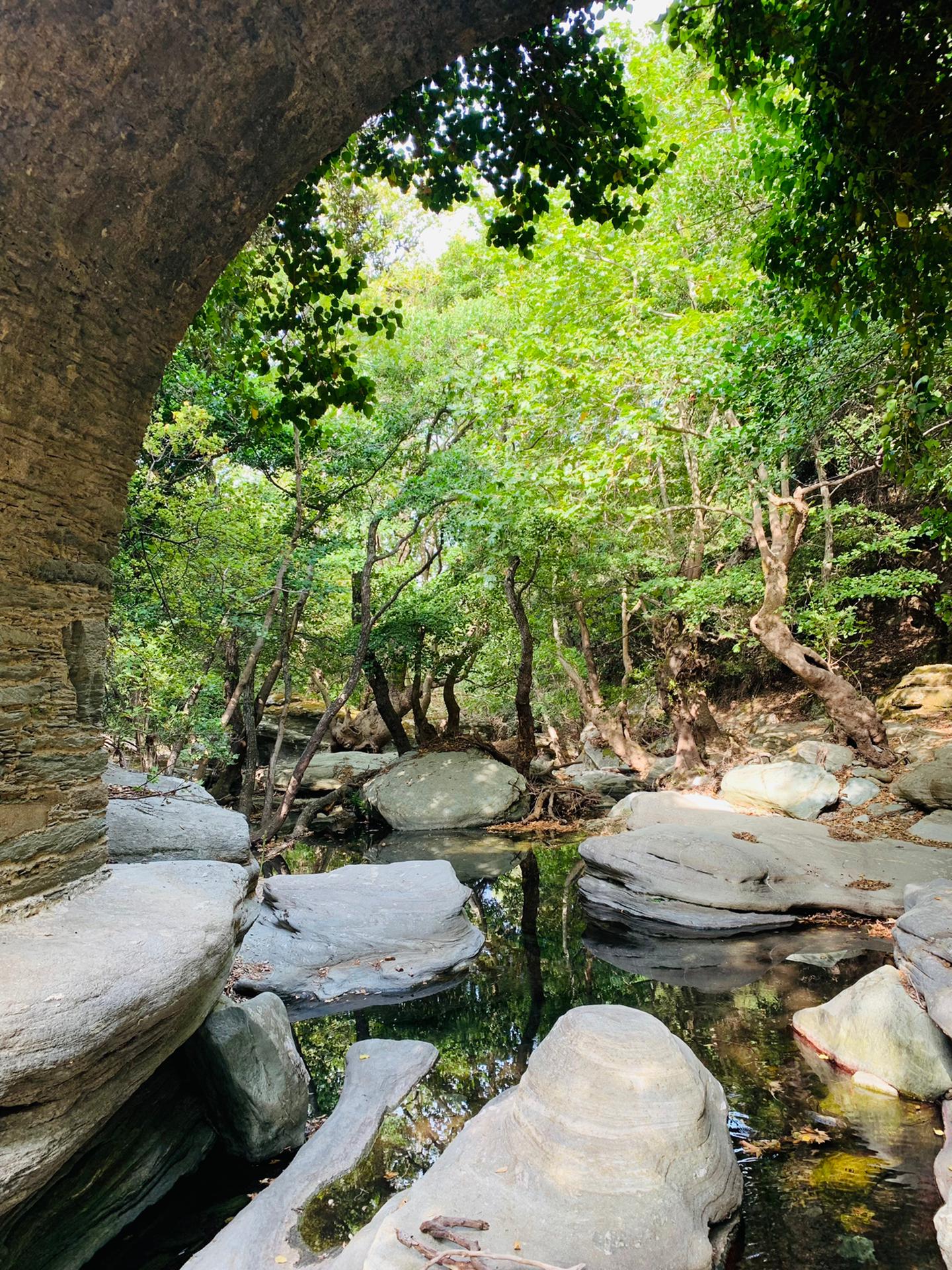 Panachrantou-alladinou