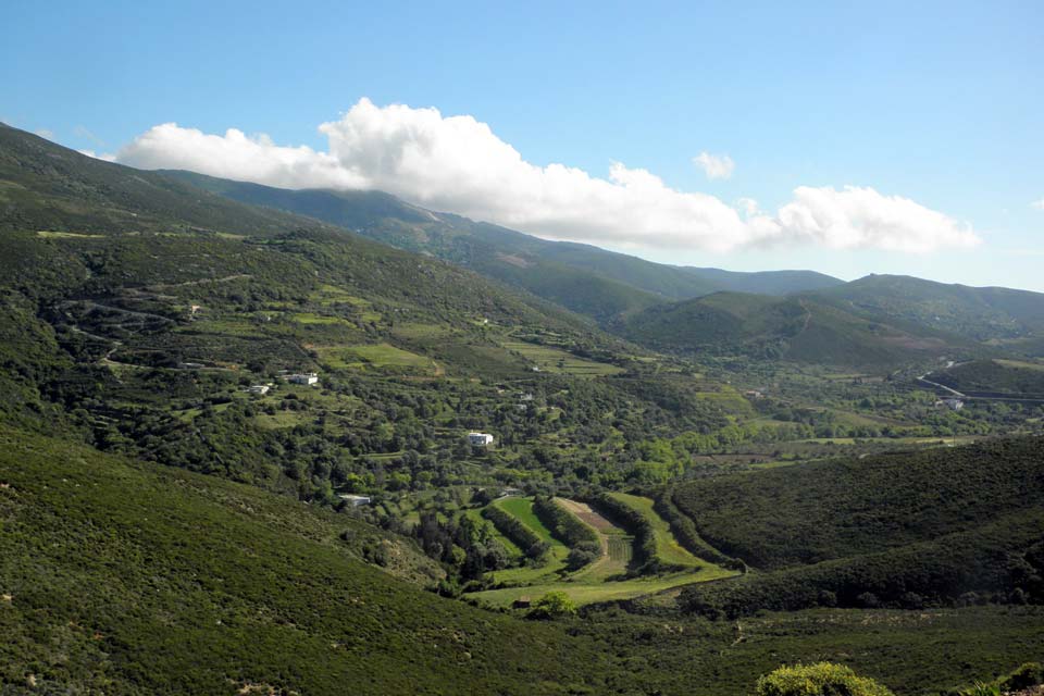 Green-Landscapes-North-Andros-Greece