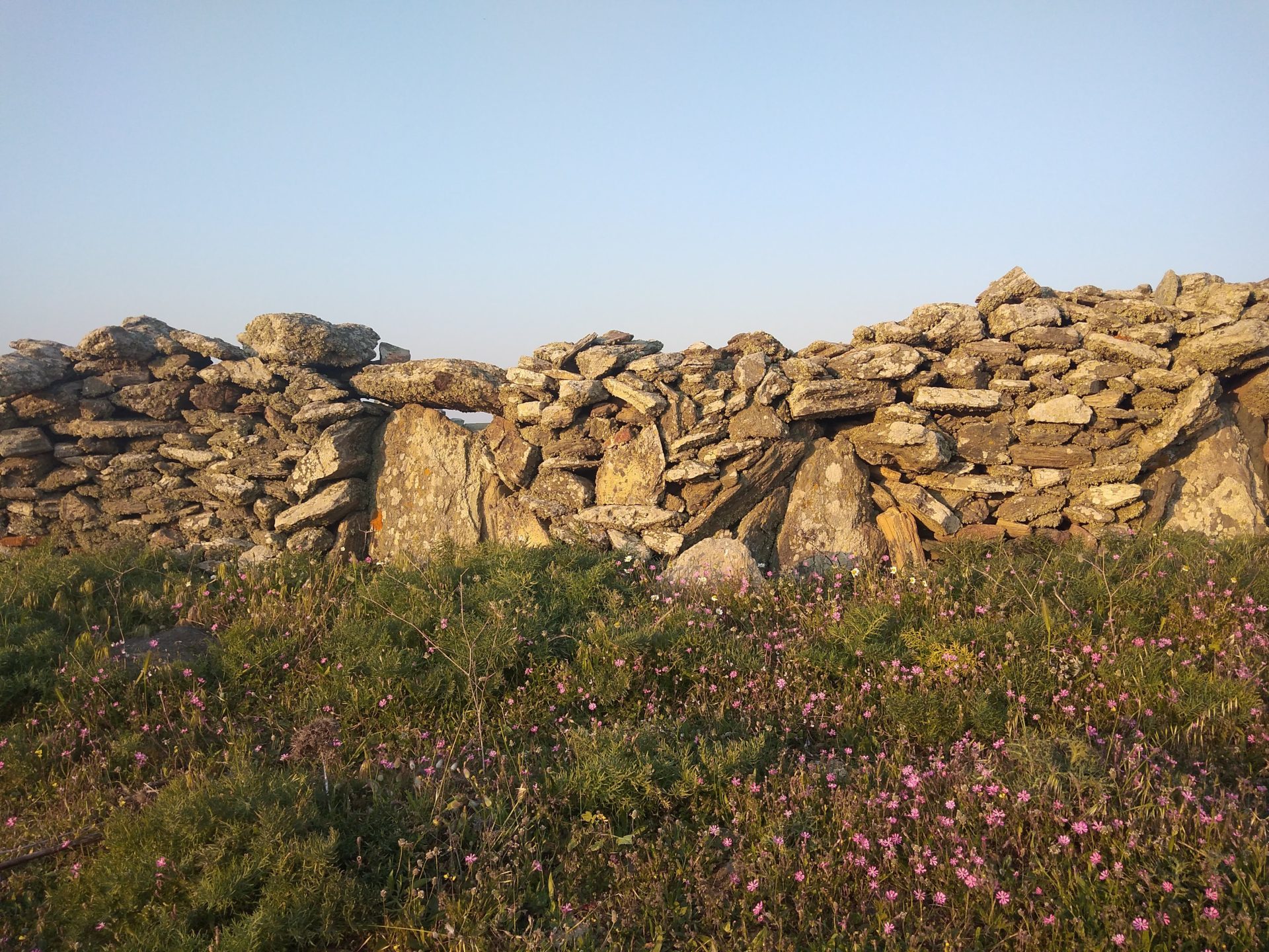 Dry Stone Walls Andros Cyclades Greece