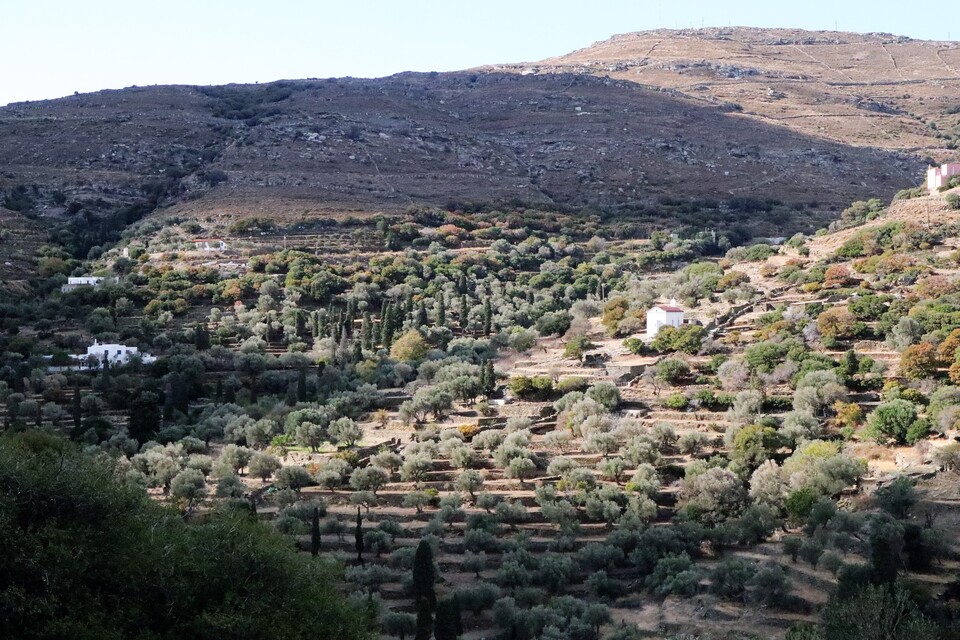 View-to-Kypri-Beach-Andros