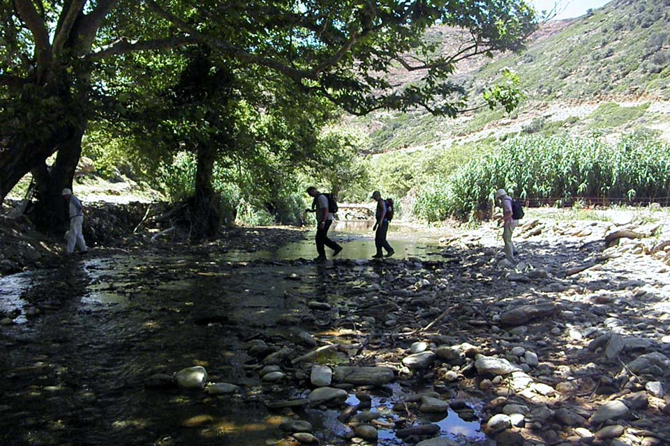 Lefka-River-Andros