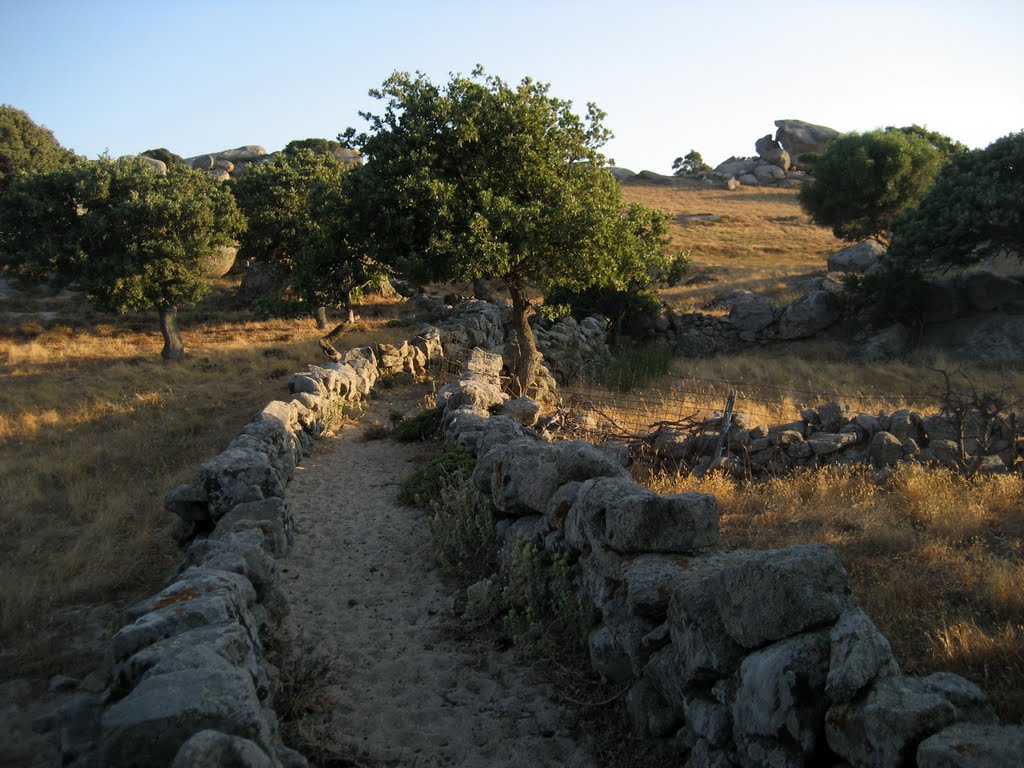 Tinos Walking Tours