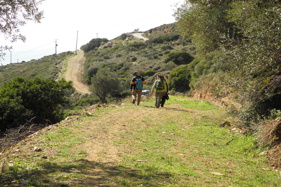St.Peter Tower Andros Sunset Tour