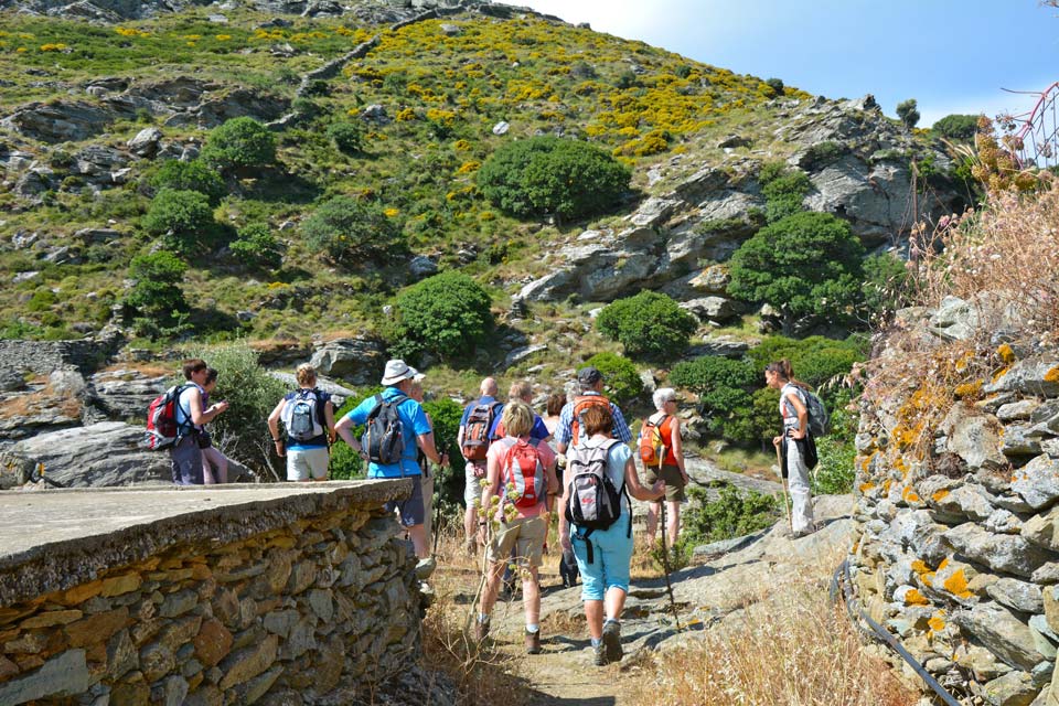 Pythara-Ravine-Explore-Andros-Tours