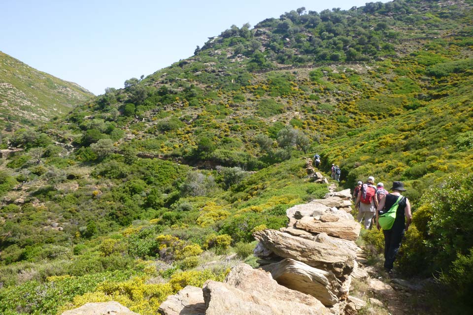 Remata-Valley-Andros-Route-no13-Cyclades