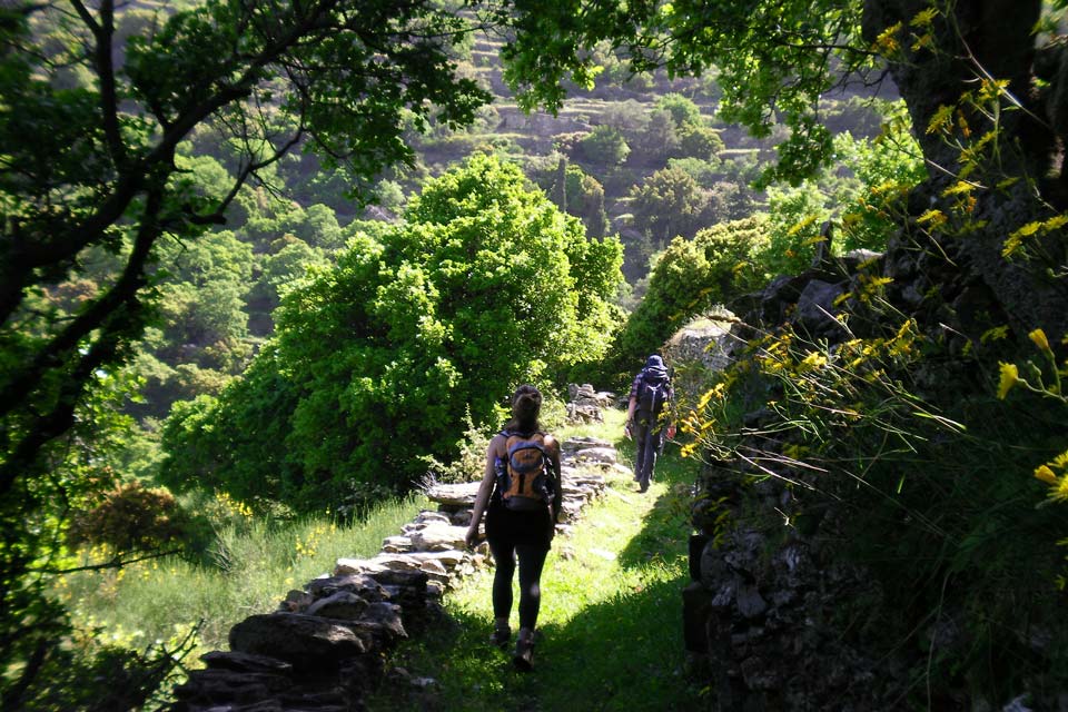 Trekking-Tours-Andros-Cyclades