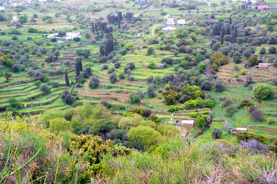 Panachrantou-alladinou