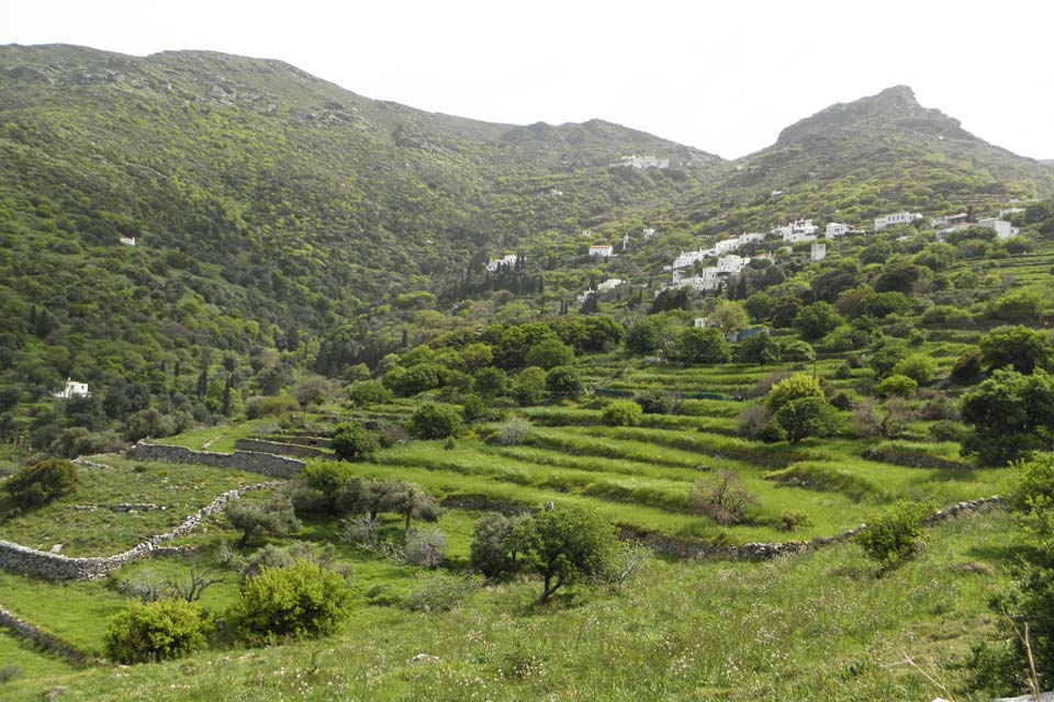 panachrantou-alladinou-135