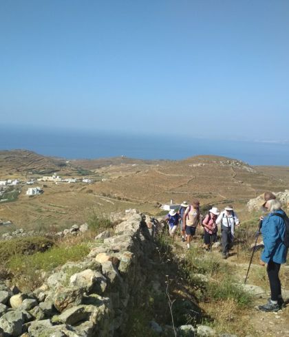 Oleanders-Andros-Route-no7-Cyclades