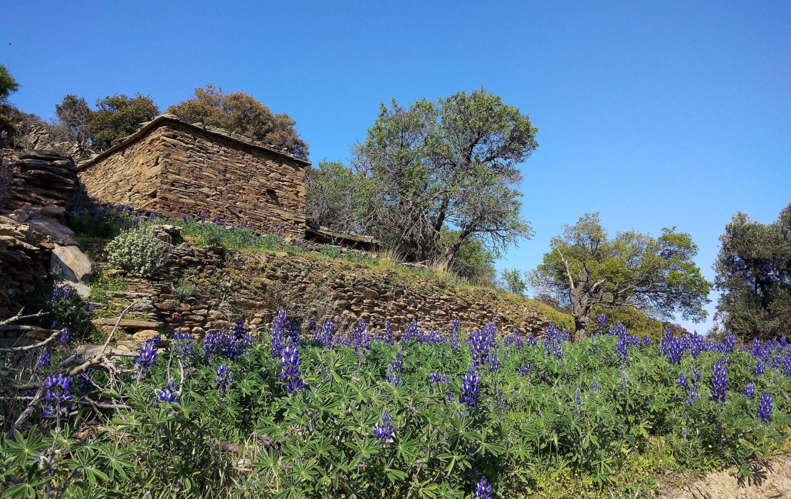 old stone house Andros