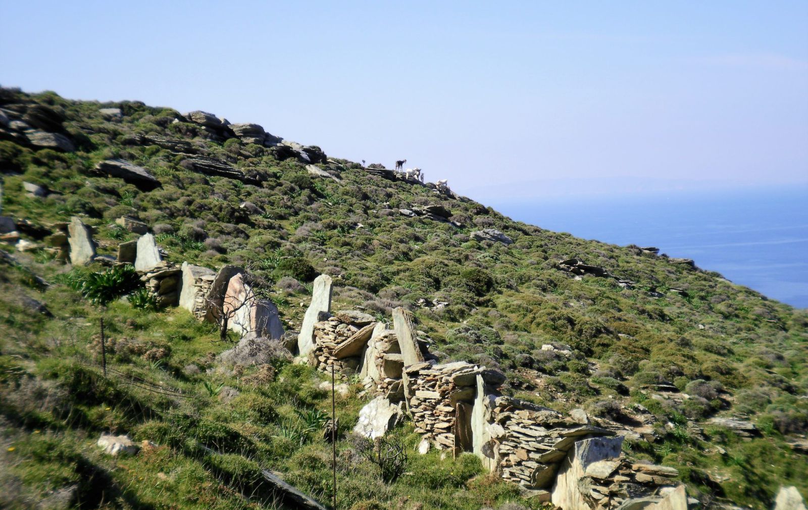 Dry Stone Walls Andros Cyclades