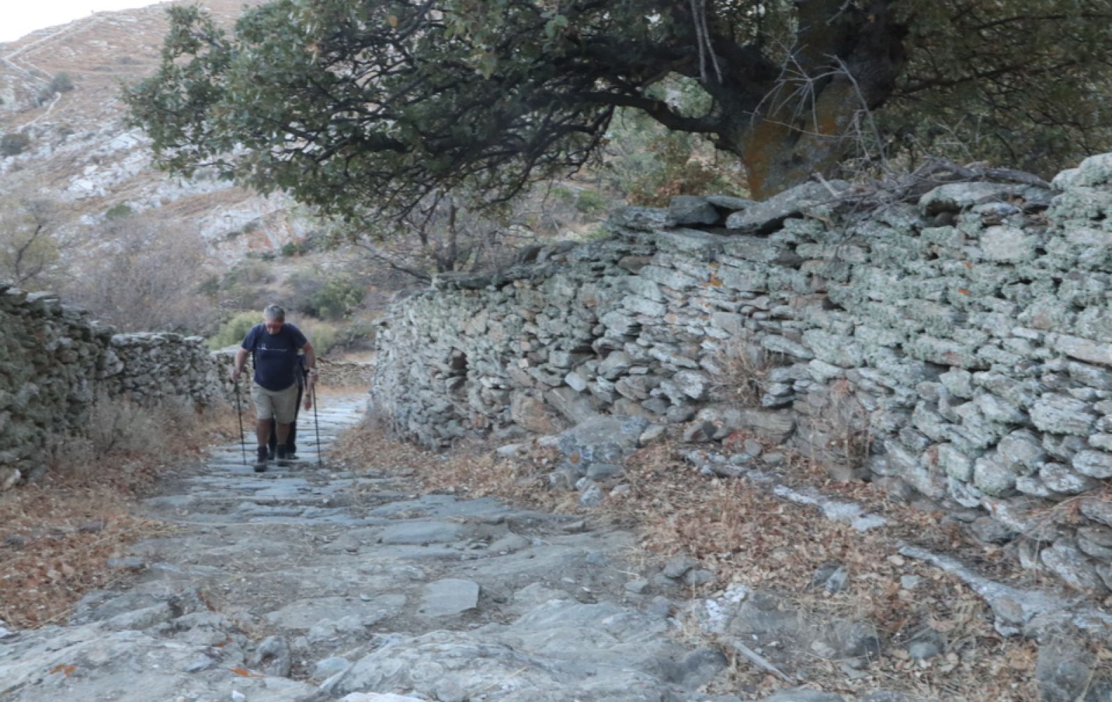 Kea Island Cyclades Greece
