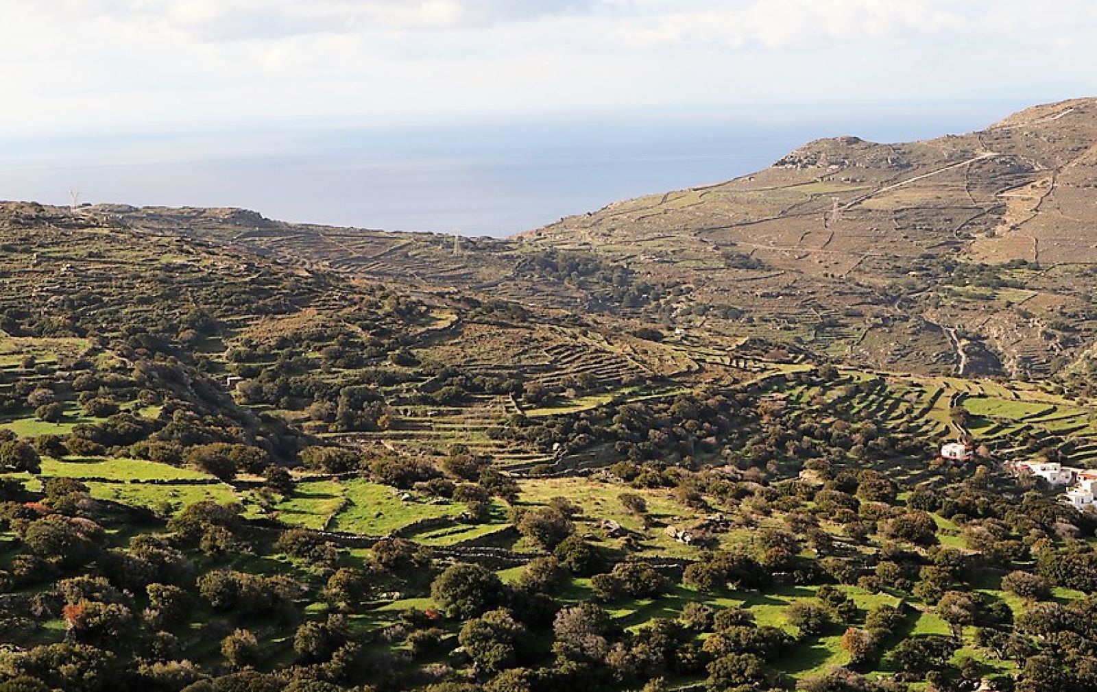 Dry Stone Walls Andros Cyclades