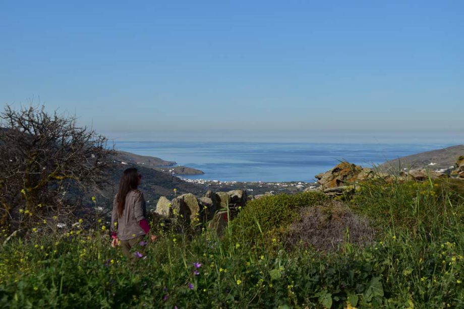 nature_s-palette-Korthi-Bay-Andros-Greece