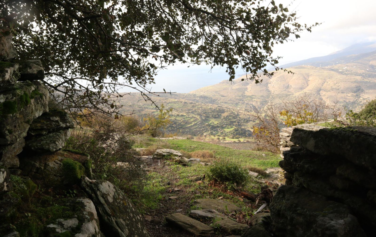 Dry Stone Walls Andros Cyclades