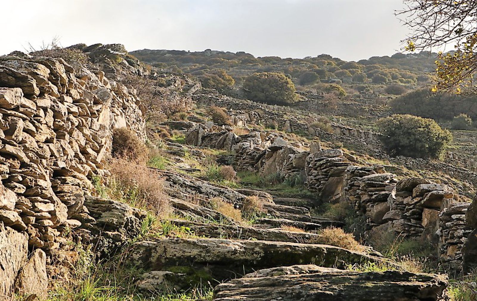Dry Stone Walls Andros Cyclades