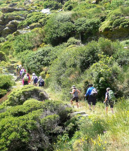 Oleanders-Andros-Route-no7-Cyclades