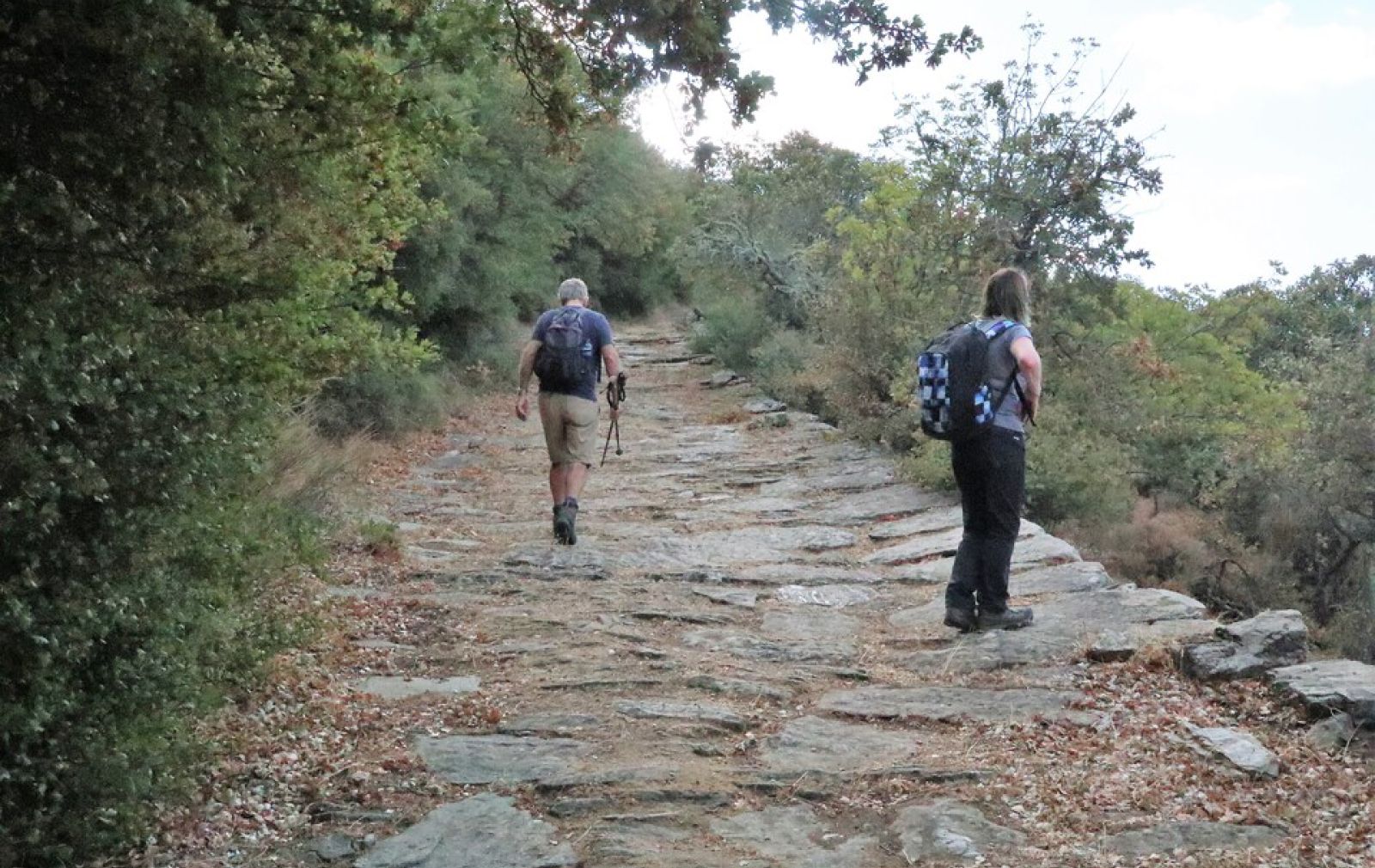Kea Walking Tours Cyclades