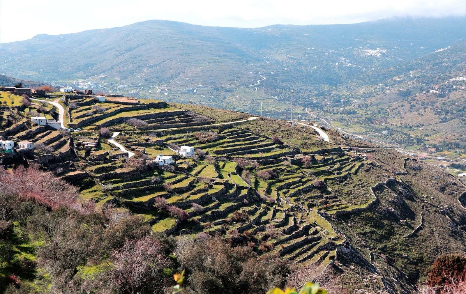 agricultural terraces Andros Cyclades Greece