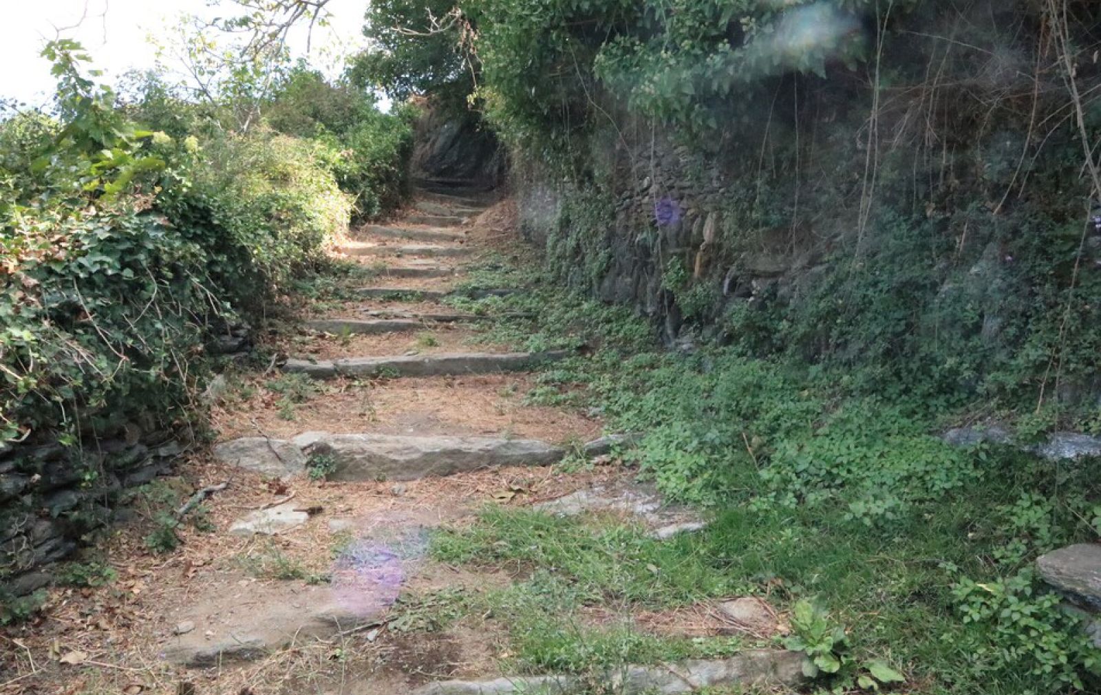 Kea Walking Tours Cyclades