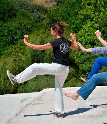 Taichi-Andros-Cyclades