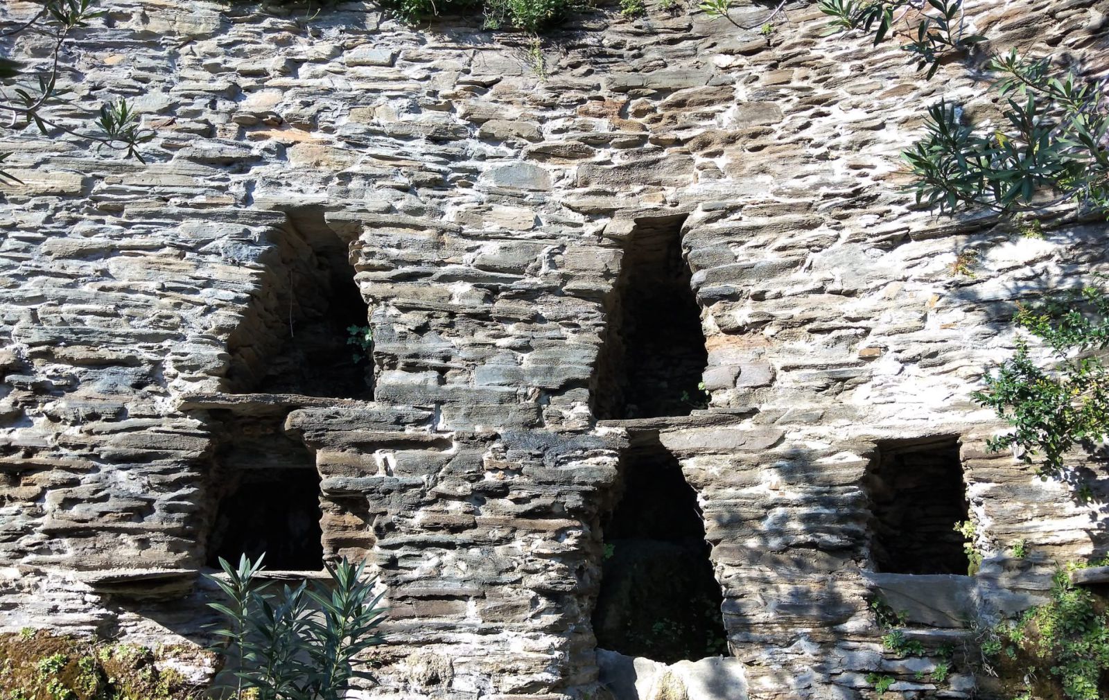 placement of beehives