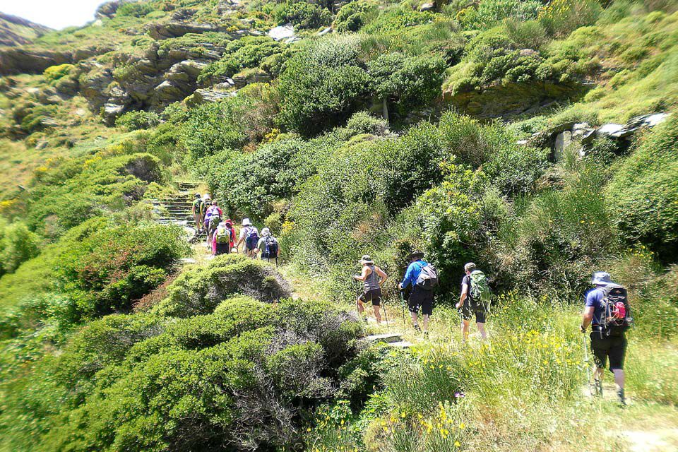 Walking daily tours in Cyclades