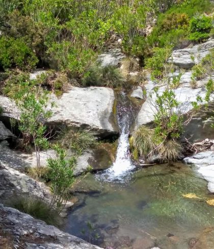 Frousseoi Stream Andros-Cyclades