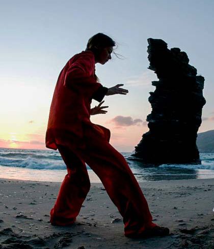 tai-chi-andros