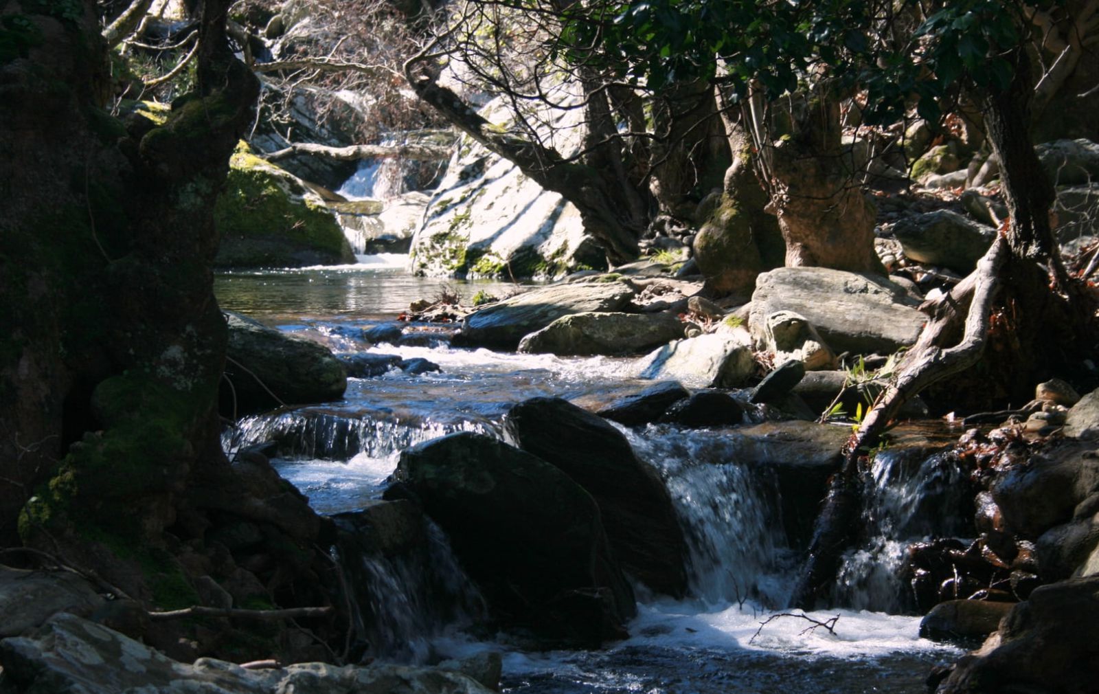 Evrousses Stream Cyclades Andros