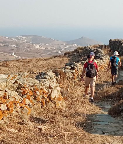 Plane-Forest-Andros-Greece