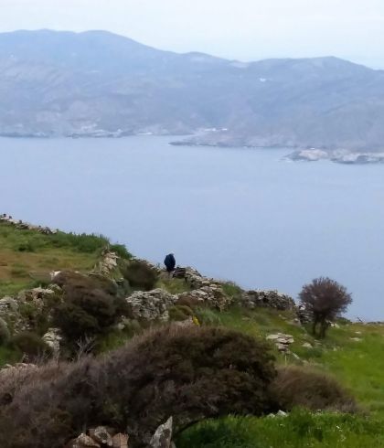 Remata-River-Andros-Cyclades