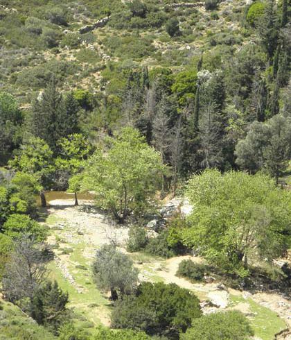 Remata-River-Andros-Cyclades