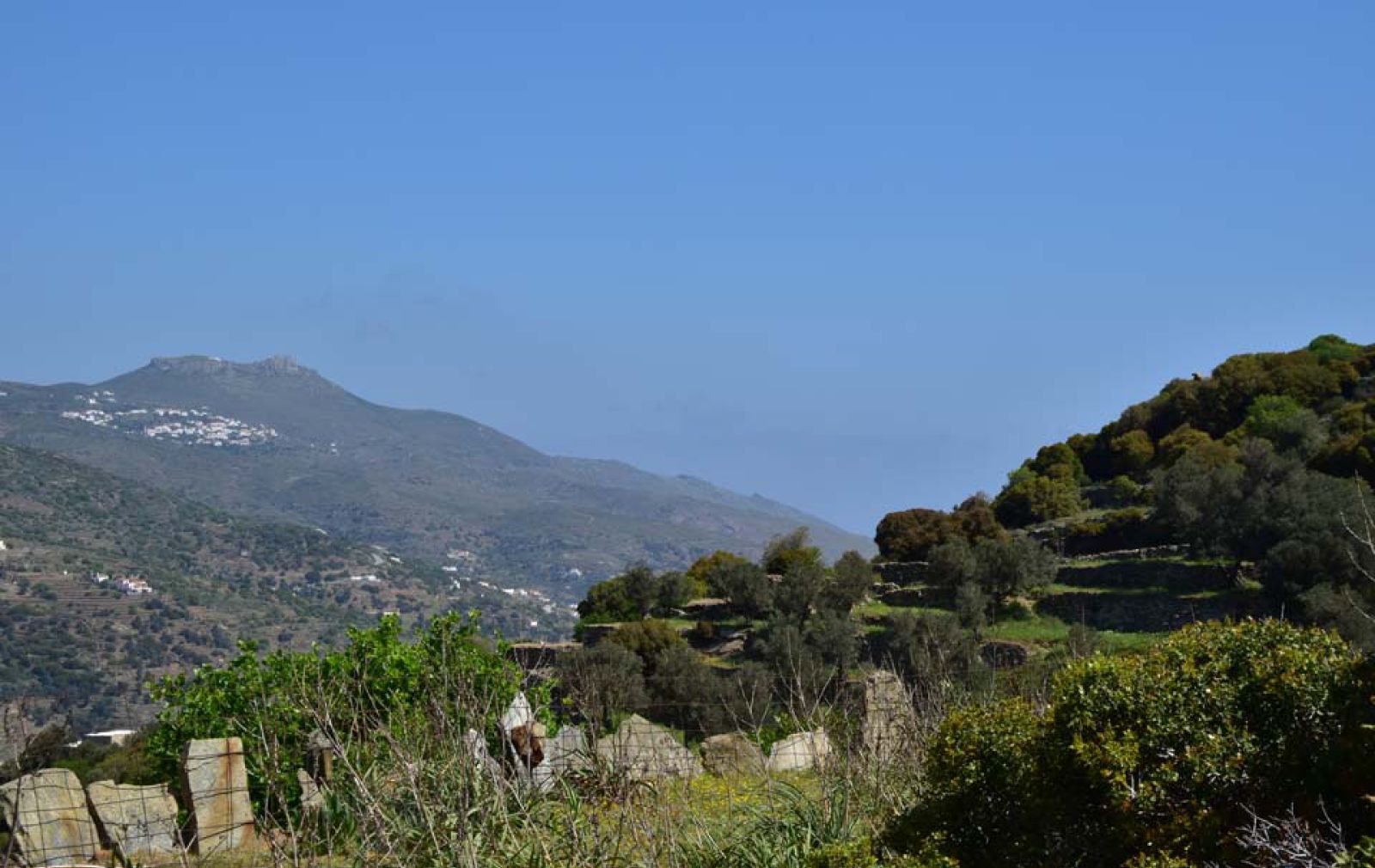 blue-sky-green-nature-view-of-village-andros-cyclades