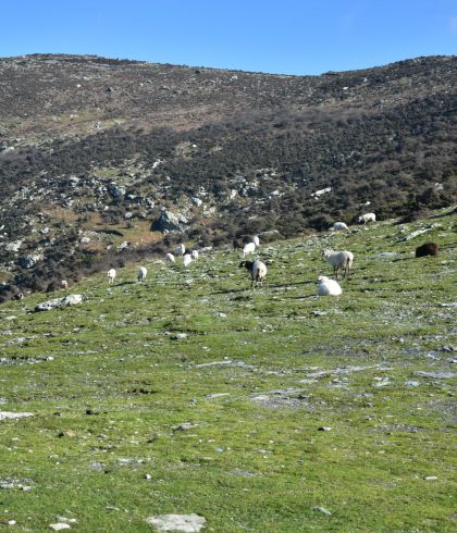 Palaiopoli Via Ferrata Andros