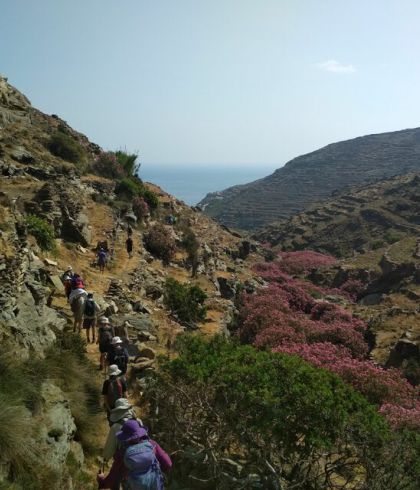 Πλατιά Τήνος