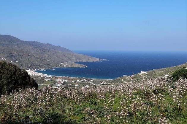 Andros Cyclades Korthi