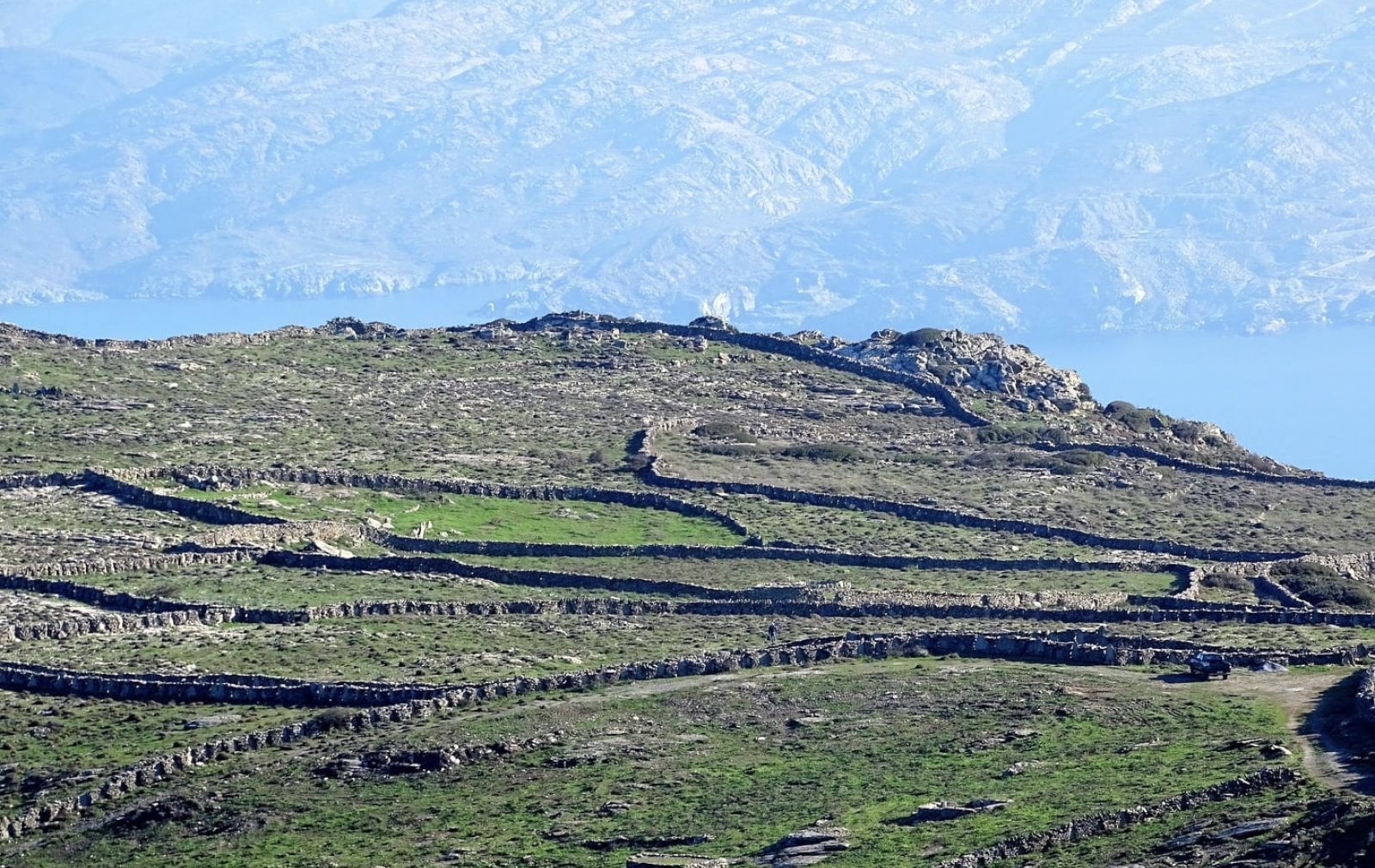 agricultural terraces Andros Cyclades Greece