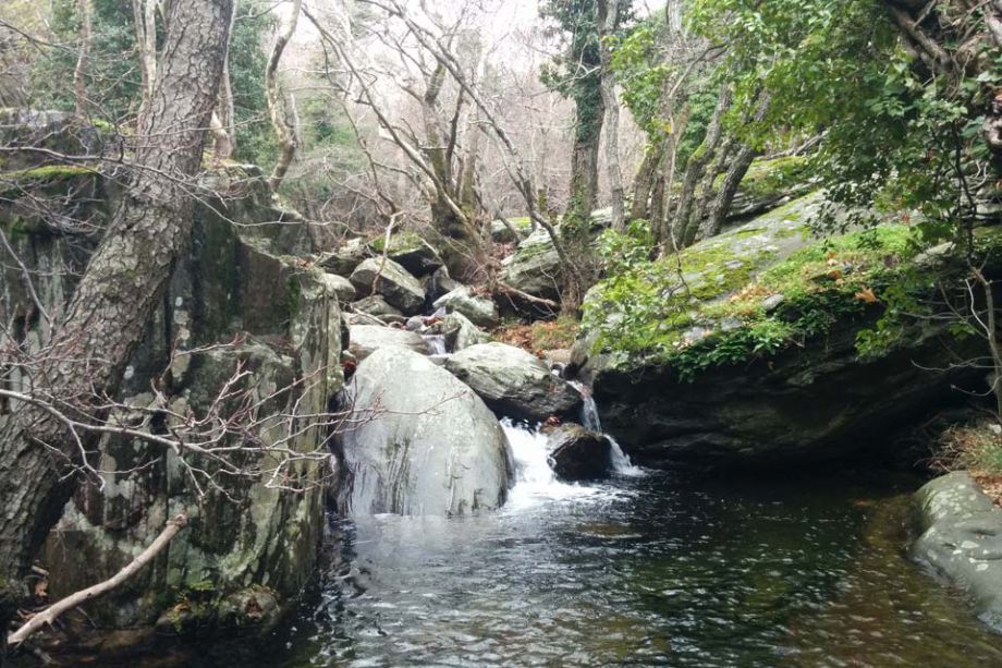 Evroussies-Andros-Cyclades