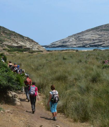 Andros Cyclades Walking Lefka Beach